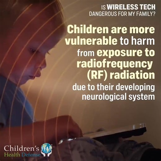Did you know why EMF is more dangerous to children? Learn from 18 EMF experts on how to protect your children from dangerous EMF in the free EMF Hazards Summit going live tomorrow that from 🗓️ April 10 -15, 2025. Today is the last day for free Registration https://ngmdiainc.ontralink.com/t?orid=234570&opid=30 #emfhazard #emf #children #savechildren | Health is Wealth