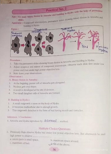 class 10th science practical book practical no2 question and answer