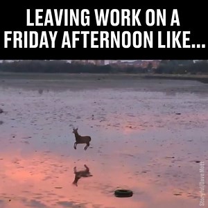 I'm outta here... | LADbible