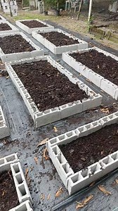 Lagyan na natin ng compost #gardening #homegarden #urbanfarming #soilmix #urbangardeningdiy #gardeninspiration | Urban Gardening DIY