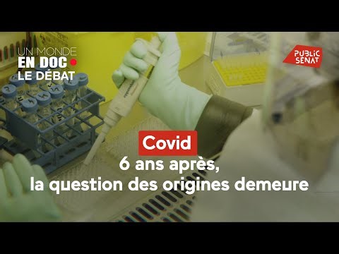 Covid: 6 years later, the question of origins remains