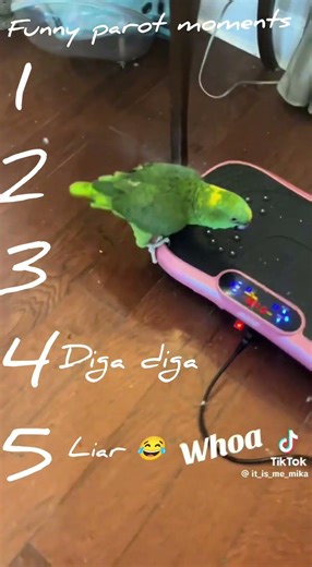 Ranking funny and best parit moments 🤭🤣