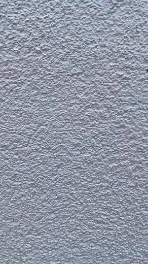 Three German shepherds | K A O S