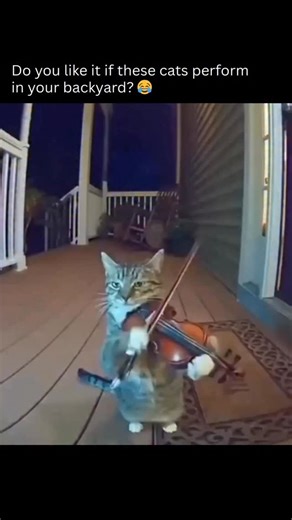 Artificial Intelligence | ChatGPT | AI | The post shares an AI-generated video depicting a striped cat playfully wielding various instruments like a violin, bagpipes, and drums on... | Instagram