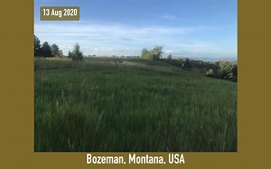 17 reactions | Seasons are changing as we enter spring in the...