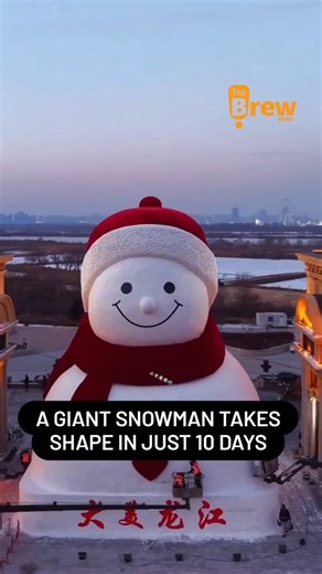 A Giant Snowman Takes Shape in Just 10 Days A timelapse captures the incredible 10-day construction of a giant snowman in Harbin, northeast China — home to the iconic Ice and Snow World festival. Standing 19 metres tall and built using more than 3,500 cubic metres of snow, the winter giant is now a showstopper among the city’s massive ice sculptures. #thebrewnews #snowman #Christmas #Harbin #IceAndSnowWorld | Thebrewnews