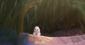 Piper - Disney Pixar - Oscar winning Short Movie