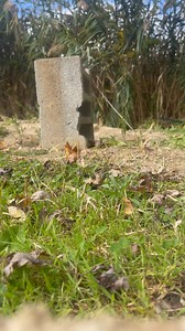 EGW 22 exploding pellets