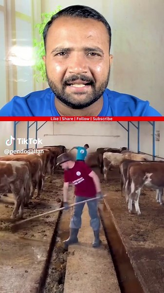 Dairy Farming Walon Ki Zarorat 🐄⚡ #tiktokencyclopediacontest
