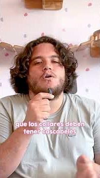 Conoce nuestros motivos, qué tipos de collares y los tips que tenemos para que tu Miu use el collar!