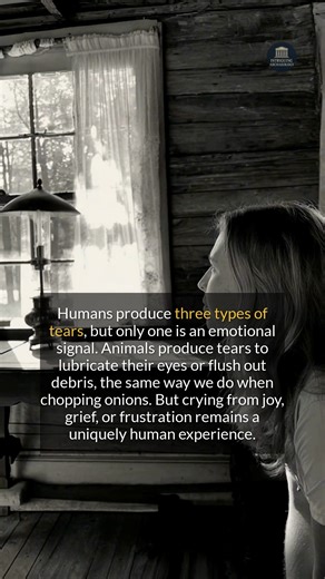 9.9K views · 118 reactions | Crying from joy, grief, or frustration remains a uniquely human experience. #historyfacts #didyouknow #facts | Intriguing Archaeology | Facebook