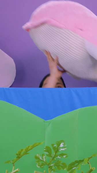 A WHALE Of A Time! 🐋 CoComelon & Ms Appleberry Toy Play Videos #kids #shorts