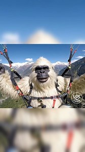🌄Yeti Exploring the Beauty of Sikkim | Funny Adventure Vlog A tall, cute white furry Yeti is on a journey to explore the beauty of Sikkim! 🌸⛰️ From walking nervously on Pelling Skywalk, to vibing with a rapper aunty on the street, to flying high while paragliding over Himalayan valleys, and casually strolling through local Sikkim streets this vlog has it all 🤩। #YetiVlog #ExploreSikkim #FunnyYeti #SikkimAdventure #DamiDami | The LOL Factory