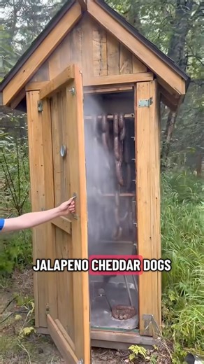 In Alaska, roadkill is a goldmine. Moose Jalapeño Cheddar Dog recipe below: • 30 lbs moose • 30 lbs pork shoulder • 16 fresh cloves • 1/2 cup onion powder • 10 tablespoons black pepper • 2 ½ cups kosher salt • 30 fresh jalapeños, seeded and deveined • 5.5lbs cheddar cheese • 9 teaspoons Salt cure # 1 • 6 ½ cups cold water. Smoke low and slow until 165* internal. Then ice bath #alaska #moose #hunting #roadkill | Keith McCormick- South Anchorage Assembly Member