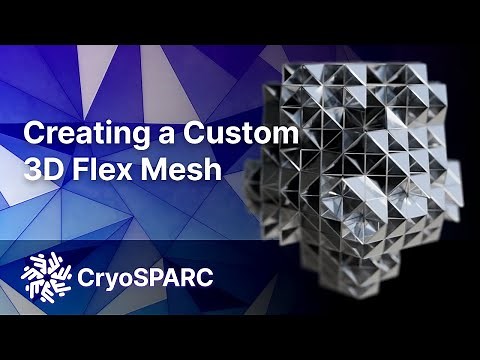 CryoSPARC 3D Flex Custom Mesh Generation