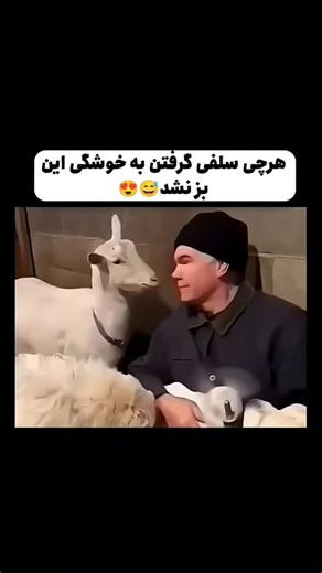 herat | ‎بابا خوش عکس 🥰🥰🥰🥰 #explore #ریلز_اینستاگرام #اکسپلور #reels #کلیپ‎ | Instagram