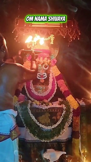 Om Nama Shivaaya 🔱 Har Har Shankara Potri 🙏 Don’t Skip This Divine Call ✨ #OmNamaShivaaya