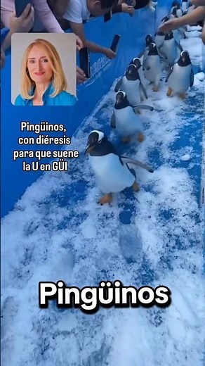 ¿Para qué sirve la diéresis y qué otros nombres tiene?.#ortografía #morfología #PAU #spanishteacher