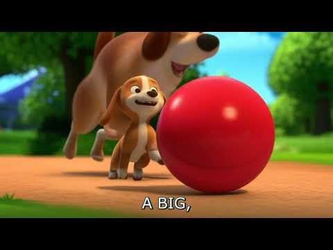 The Girl Who Made Friends with a Walking Leaf Insect | Read Aloud Stories for Kids