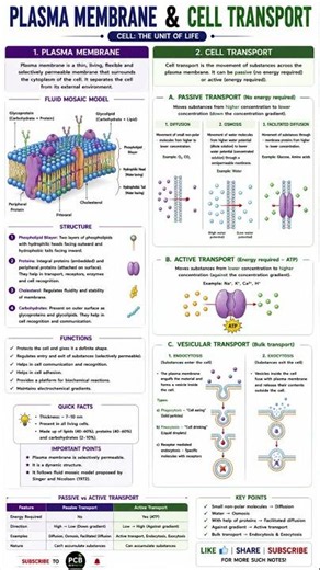 🔥 Plasma Membrane & Cell Transport Explained | Diffusion, Osmosis & Active Transport