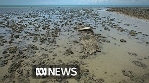 A rare view of a B-25 Mitchell bomber which crashed in waters off Darwin in World War II has been revealed during a low tide. FULL STORY: http://ab.co/2m1Mj5x | ABC Darwin