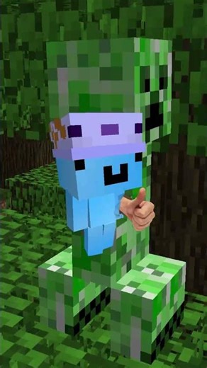 Creeper was an ACCIDENT!