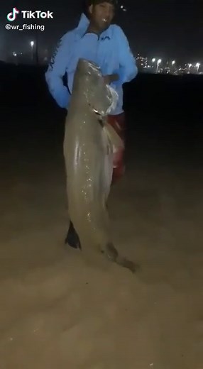 Willem Rheeder on TikTok