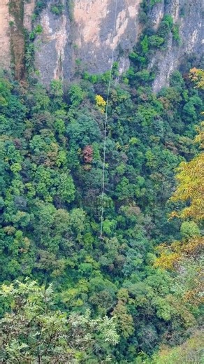 #Zhangjiajie Grand Canyon Glass Bridge Bungee Jumping#50a89