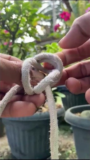 Simple Rope Knot for Hanging Clothes – Easy and Strong!