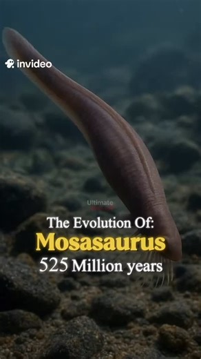 Evolution ai on Instagram: "The Evolution of the Mosasaurus #evolution #mosasaurus #deepsea #animals"