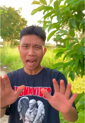 Pohon Jambu dan Rambutan: Fitur Menarik Buah Tropis