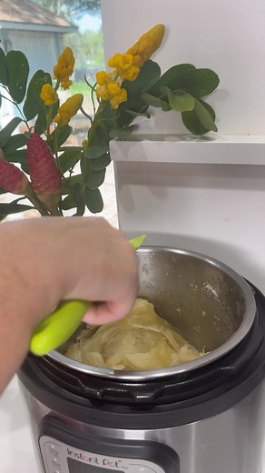 Natural Soap 🧼🫧 #🧼 #liquidsoap #shampoo #castillesoap #homemadebeautyproducts #naturalbeauty #naturalshampoo #shampooginger #naturalcleaningproducts #homemadecleaningproducts | The Zen Hen and The Honey Bee Farm