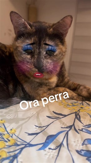 Videos de Perla Vazquez (@perla.vazquez47) con “sonido original - 🧚🏻‍♀️”