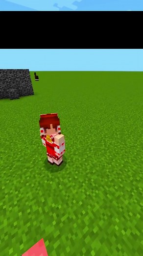 Minecraft Wall Glitch Techniques | 壁抜け4選