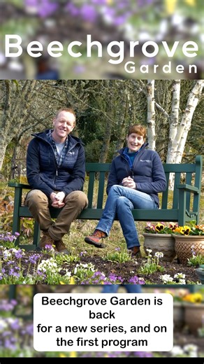 Beechgrove Garden is back! Join Brian and Carole as they kick off the first episode of 2025. Tune in: 📺 Thursday at 8pm on BBC Scotland 📺 Friday at 7pm on BBC TWO 📺 Friday at 7:30pm on BBC TWO Wales 📺 Saturday at 8:50am on BBC TWO 📺 Monday at 3:00pm on BBC Scotland Find us also on BBC iPlayer from Thursday! | Beechgrove Garden