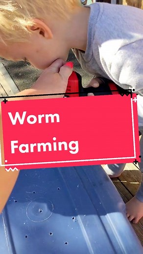 #loopresource #redwigglers #composting