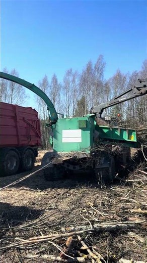 JENZ Wood Chipper in Action 🌲🔥 Powerful Machine Making Wood Chips