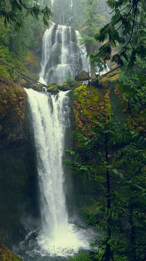 A beautiful waterfall tucked deep in Washington’s forests, where the sound of rushing water, mossy cliffs, and shifting forest colors make the whole place feel alive. 📍Pacific Northwest 📸 @izak.photography #beautifuldestinations #pnw #nature #pacificnorthwest #waterfalls #pnwexplored #forest #waterfalllovers #discoverearth #divineforest #pnwphotographer #pnwwonderland #pnwadventures #pnwcollective #pnwhiking #pnwphotography #pnwlife | Izak Photography