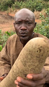 6K views · 33 reactions | Call or WhatsApp 0240654211 #canada #Call | Papa Issaka | Facebook