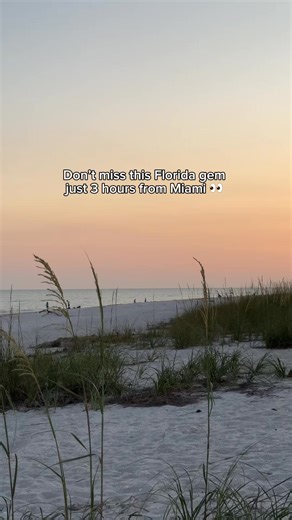 1K views · 22 reactions | Plant ihr einen Trip nach Florida? Dann sollte Fort Myers unbedingt auf eurer Liste stehen! Nur drei Stunden von Miami entfernt – perfekt für einen Kurztrip oder sogar einen Tagesausflug.  | Visit Fort Myers - Germany | Facebook