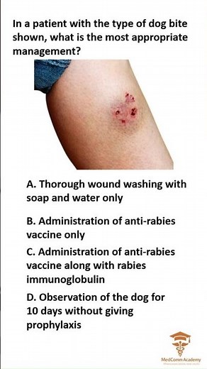 Dog Bite Emergency: What's the RIGHT Treatment for This Wound?