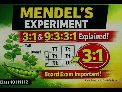 Mendel’s Experiment and Law of Inheritance ||Genetics Explained