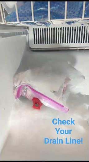 Kitchen Aid refrigerator. Check your drain line if you have ice build up in the bottom of freezer.