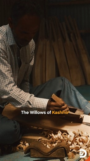 In the valleys of Kashmir, tall willow trees grow quietly along rivers and fields, shaped by cold winters and slow seasons. These willows are not just part of the landscape, they are the starting point of every cricket bat that meets the ball on pitches across the world. Harvested with care, the wood is seasoned over years, not weeks. Each log is split, dried, pressed, and shaped by skilled hands that understand its grain, weight, and balance. In small workshops, craftsmen tap, test, and carve, 