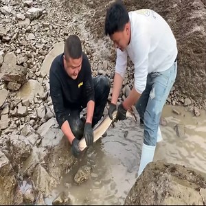 216K views · 4.8K reactions | put 60 kg grouper into a 3000 square meter puddle. We harvested 80kg of fish and sold it for 3000$. #fishing #fisherman #fishingfun #fishingtime #fishingvlog | Krung | Facebook