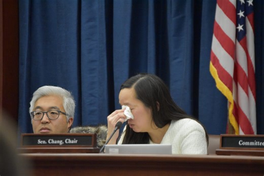 Michigan Senate hearing on ICE accountability bills features emotional testimony, fiery debate • Michigan Advance
