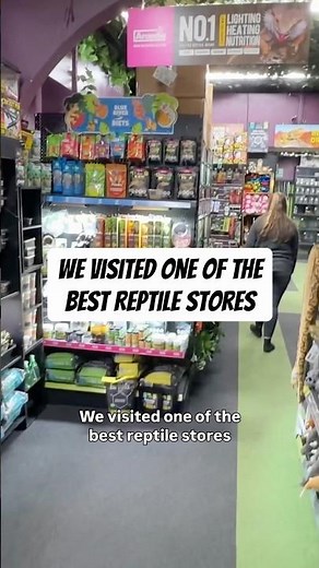 We visited one of the best reptile stores!