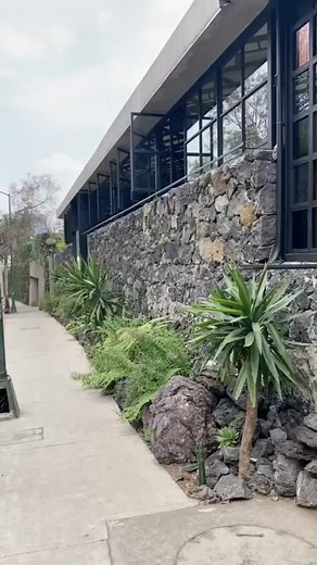 Descubre Sud 777: Un Restaurante Top en Pedregal