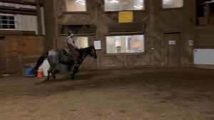 Nice blue roan mare, 15.1 hands, 8 yrs old. Broke, trail,pleasure, English.....very nice horse 203-910-5283 Buck | Hillside Equestrian Meadows of Wolcott