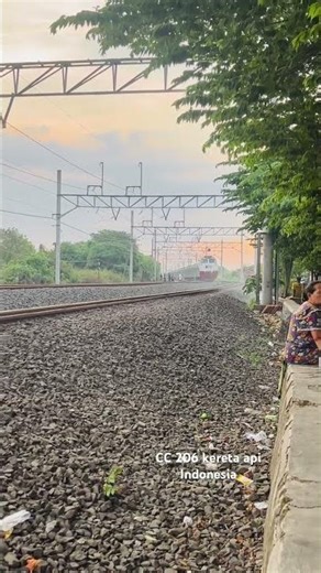 CC 206 Indonesian train 🇮🇩🥰❤️🚂 #train #shorts #train #railway
